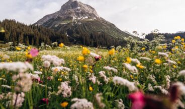 Haus Braunarl, Bild 44