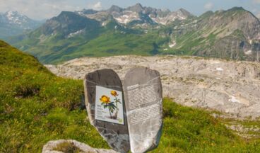 BlütenReich Rüfikopf, Image 1