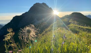 Lech Hostel, Image 2