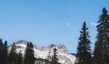 Into The Wild – From Forest to Table