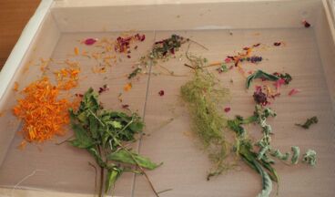 Herb atelier - Shop, Image 30