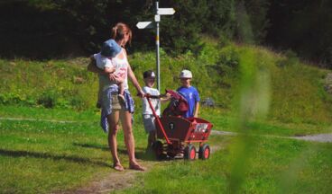 Summer on the Rud-Alpe, Image 9
