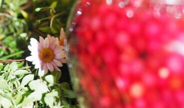 Kräuterwerkstatt Lech, Bild 26