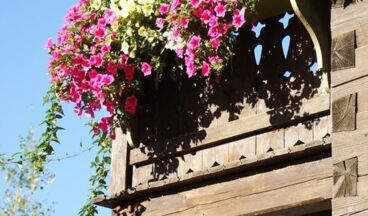 Haus Landbrugg, Image 4