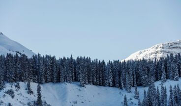 Hotel Austria, Image 20