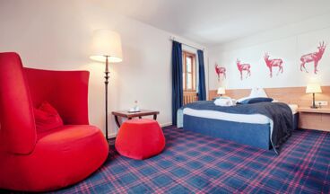 Hinterwies - Ski In / Lodge / Dine, Image 27