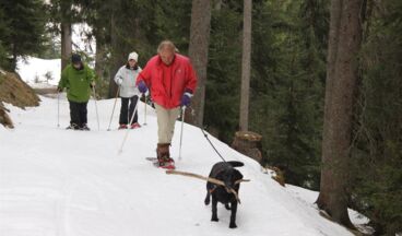 Pension Alwin, Bild 49