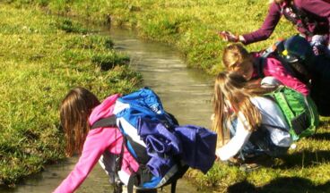 Pension Waldhof, Image 30