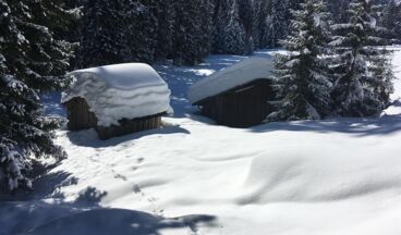 Pension Haus Nenning, Image 28