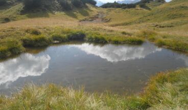 Hasenfluh - Pension, Image 34