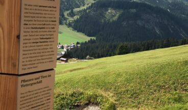 Arlenzauberweg - Naturschätze unter die Lupe genommen, Bild 12