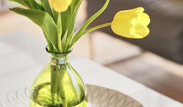 Appartements Dr. Muxel, Bild 41