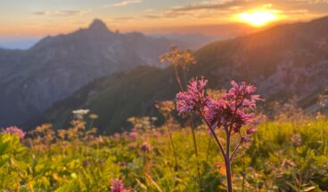 Lech Hostel, Image 3