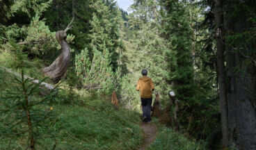 Der Grüne Ring - 3. Etappe, Bild 9