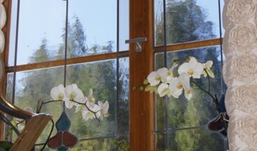 Pension Hartenfels, Bild 32