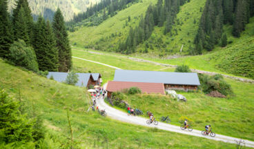 Stuben - Sonnenkopf - Kristbergsattel - Dalaas - Stuben, Bild 5