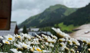 Naturhaus Loacker, Image 12