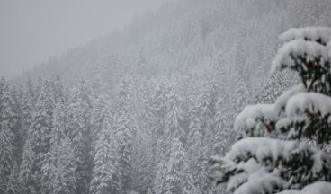 Hotel Aurora, Bild 59