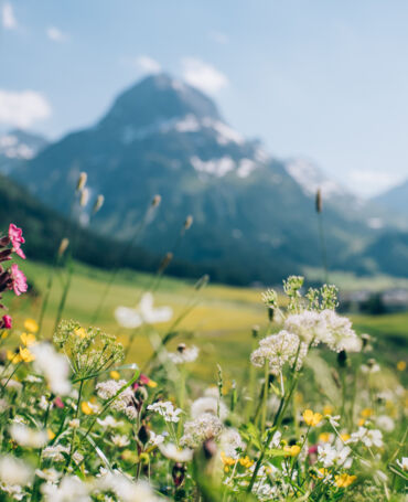 Fruehling_LZTG_by_Daniel_Zangerl_2.jpg