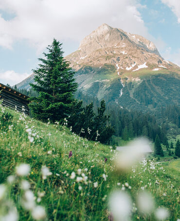 fruehling-lech-zuers-vorarlberg