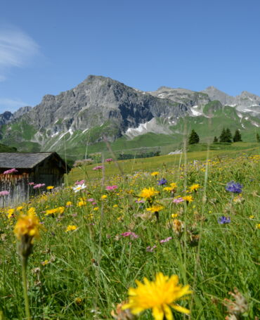 DGR Sommer 2012 LZTG by Bernd Fischer (14).JPG