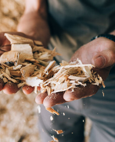 Hände mit Holzschnippsel in der Hand 