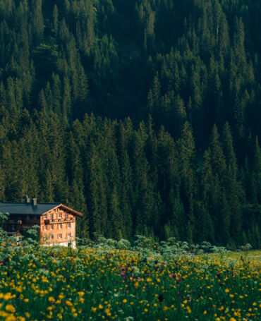 Fruehling_LZTG_by_Daniel_Zangerl_15.jpg