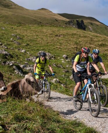 E-Bike-Tour