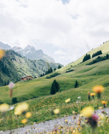 Bergsommer 2026 in Lech 