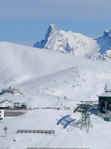 isDecorativeImage ? '' : image.title