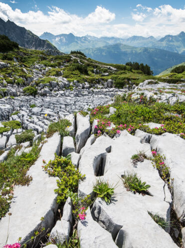 Karstlandschaft des Steinernes Meers