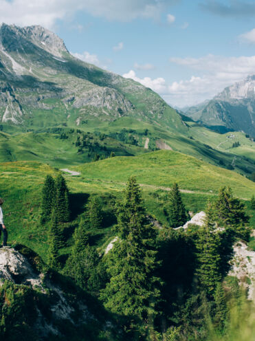 Blick in die bildschöne Landschaft
