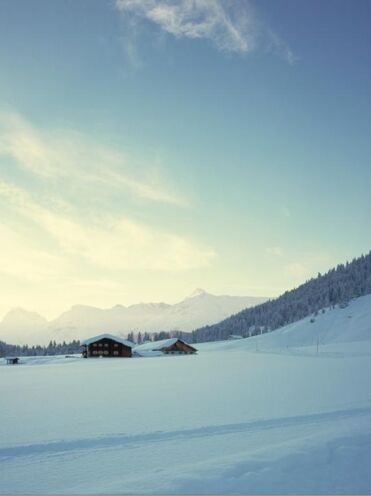 isDecorativeImage ? '' : image.title