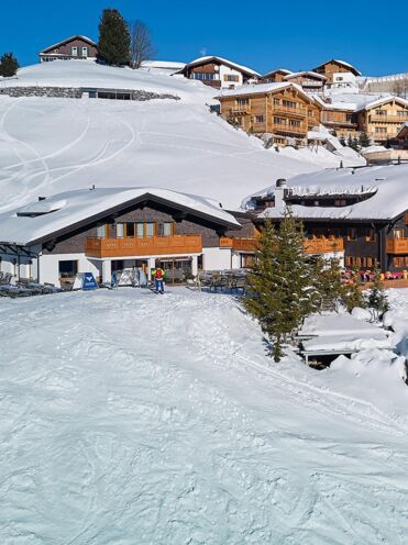 isDecorativeImage ? '' : image.title