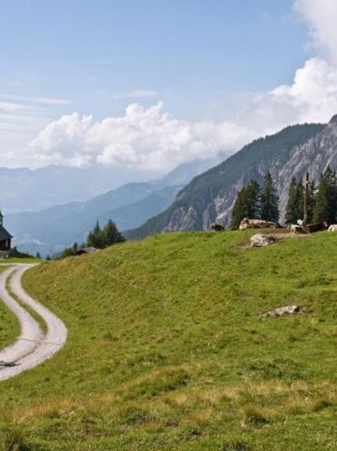 Biken im Montafon (c) Spiegel Online