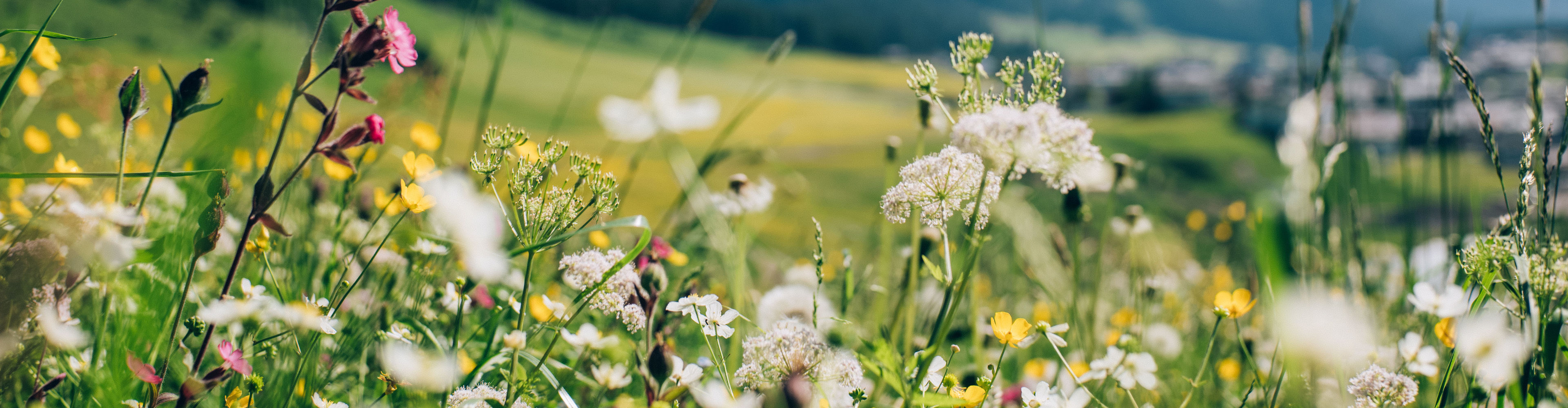 Fruehling-Lech-Zuers-am-Arlberg