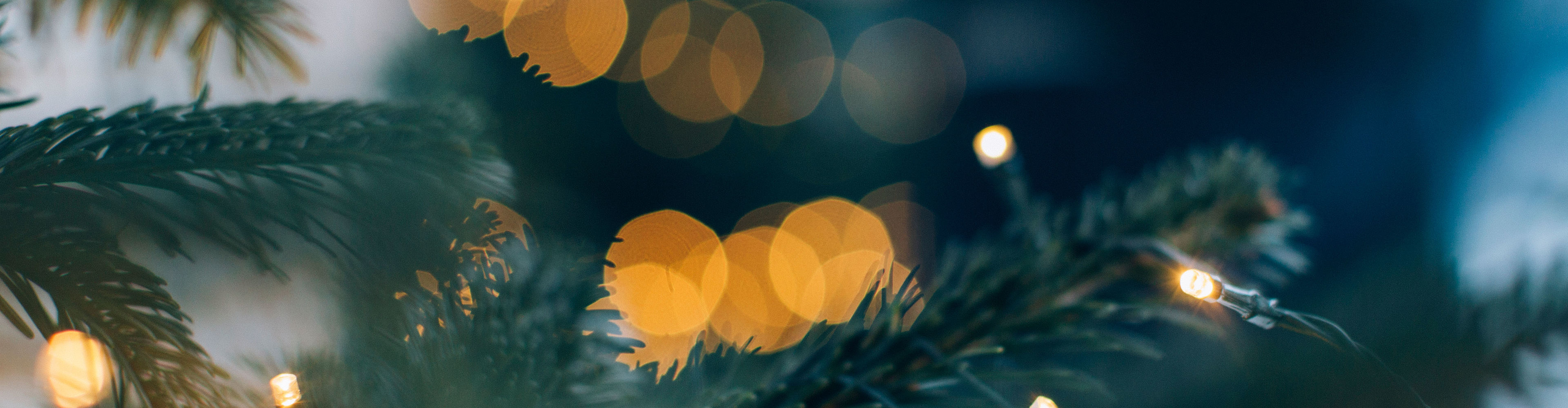 Weihnachtsmarkt_LZTG_by_Daniel_Zangerl_web (22)