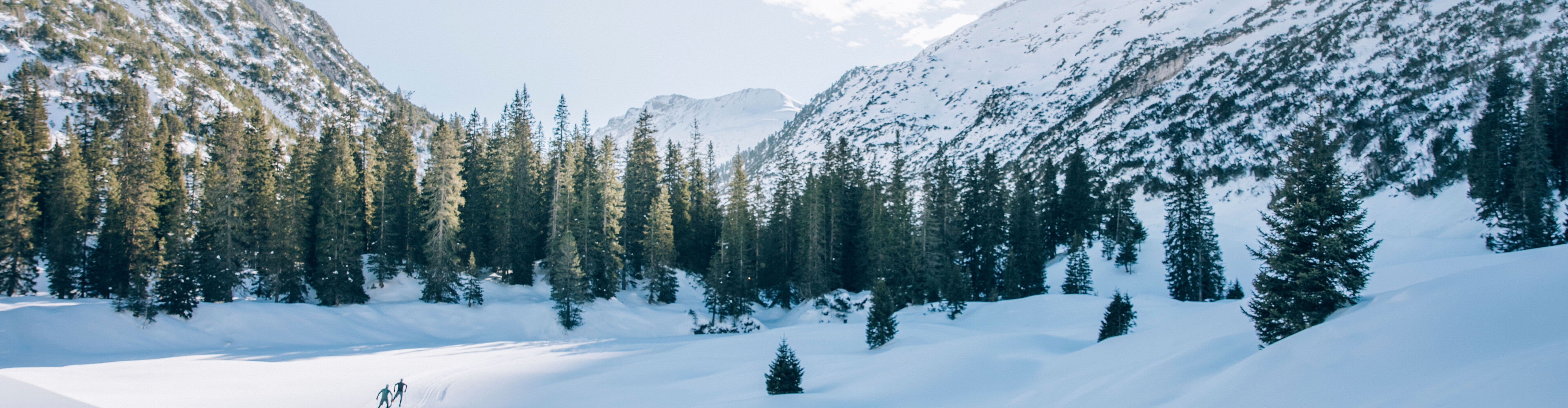 Blick auf die Loipe im Zugertal während im Hintergrund die Nadelwälder und die verschneiten Bergspitzen zu sehen sind
