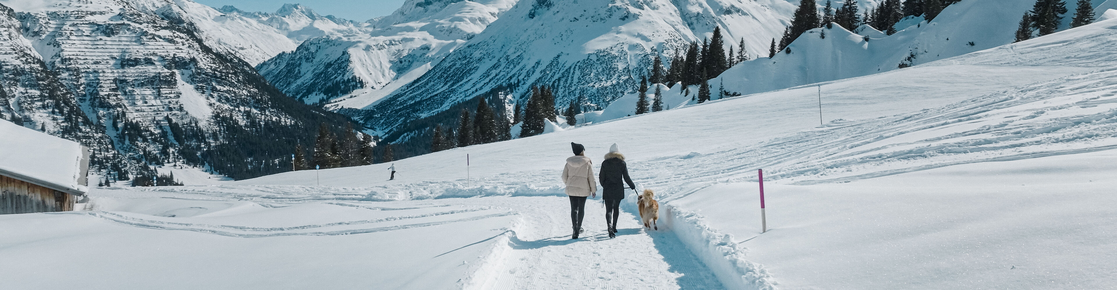Winterwandern (3 von 3)