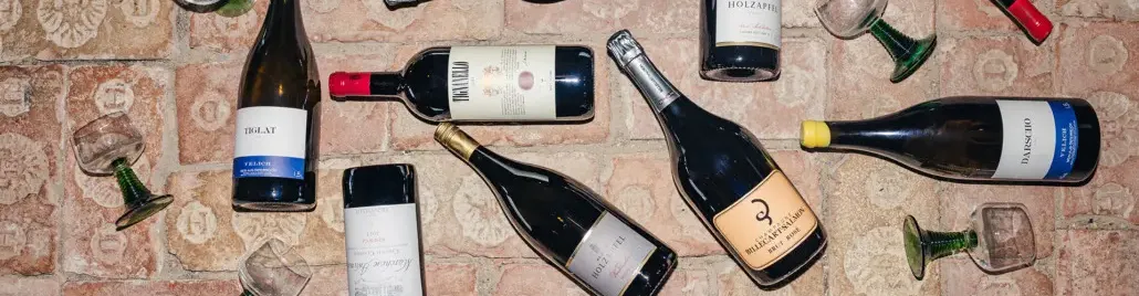 Winzerkino2025-1030x687 Schmelzhof Winzerkino und Big Bottle Party