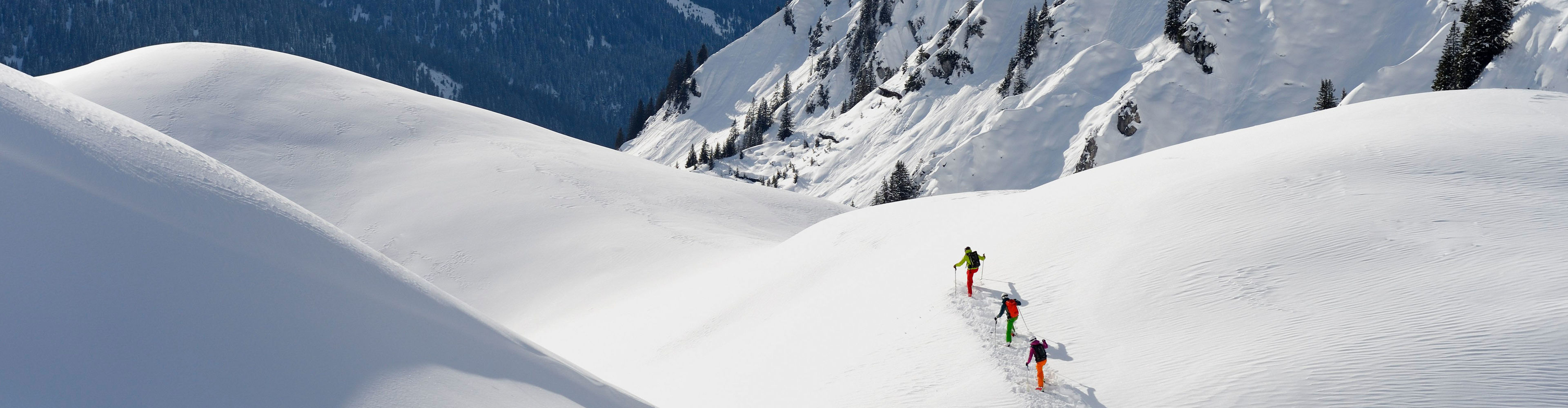 Freeride_LZTG_by_Sepp_Mallaun_web (6)