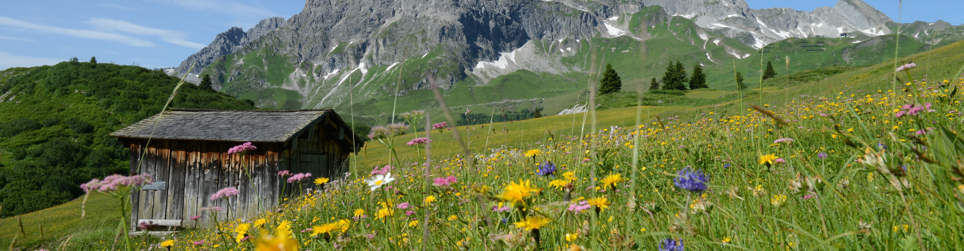 der-gruene-ring-sommer-lech-zuers-vorarlberg
