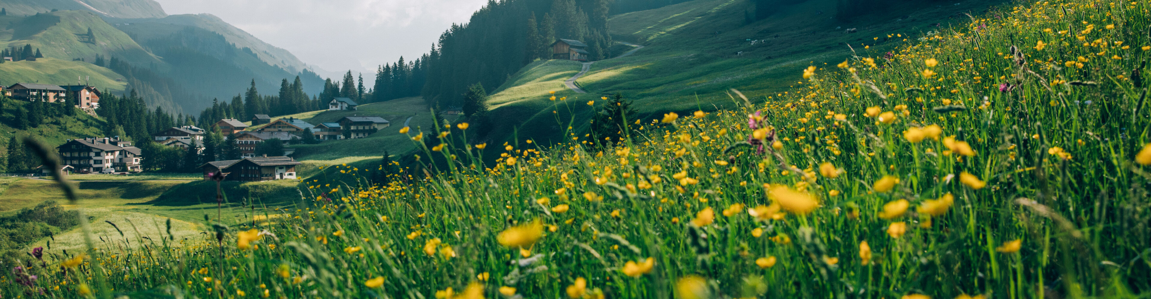 Fruehling_LZTG_by_Daniel_Zangerl_21