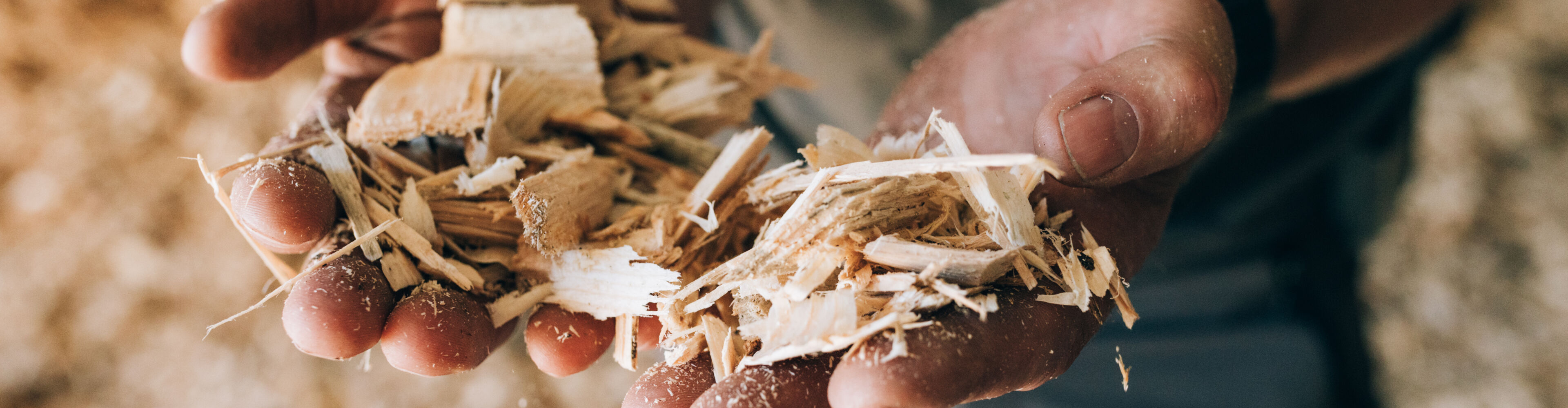 Hände mit Holzschnippsel in der Hand