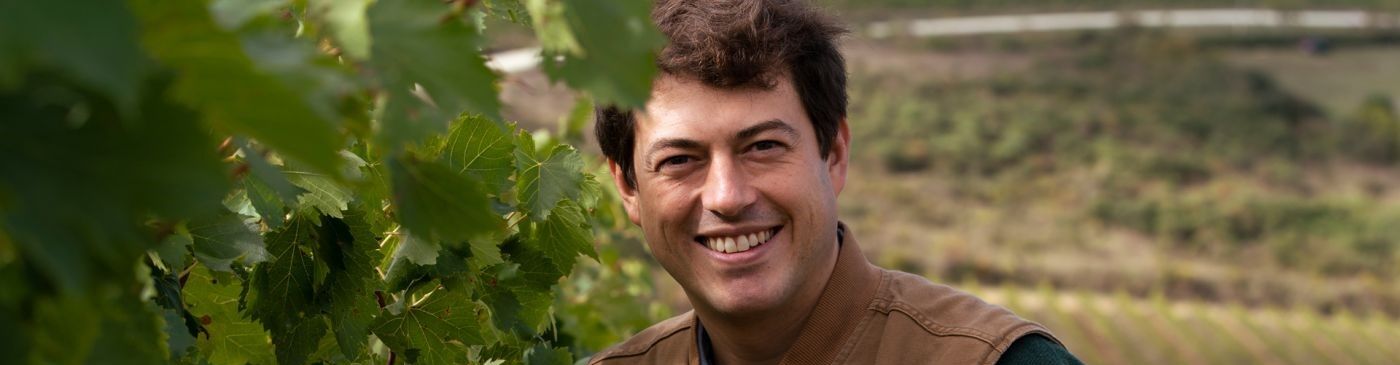 Giovanni Mazzei Ipsus