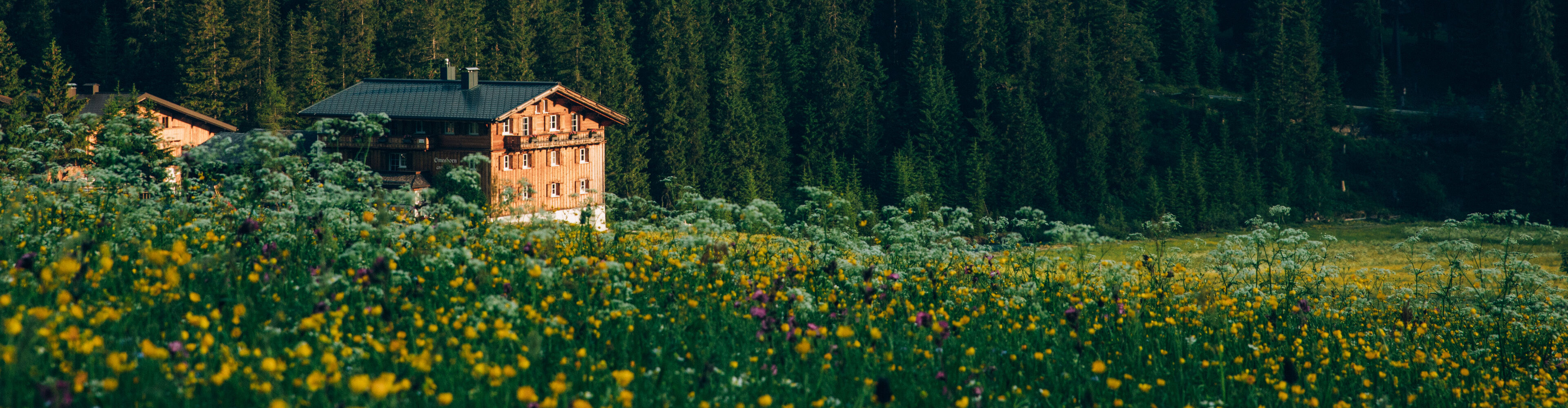 fruehling-lech-zuers-vorarlberg