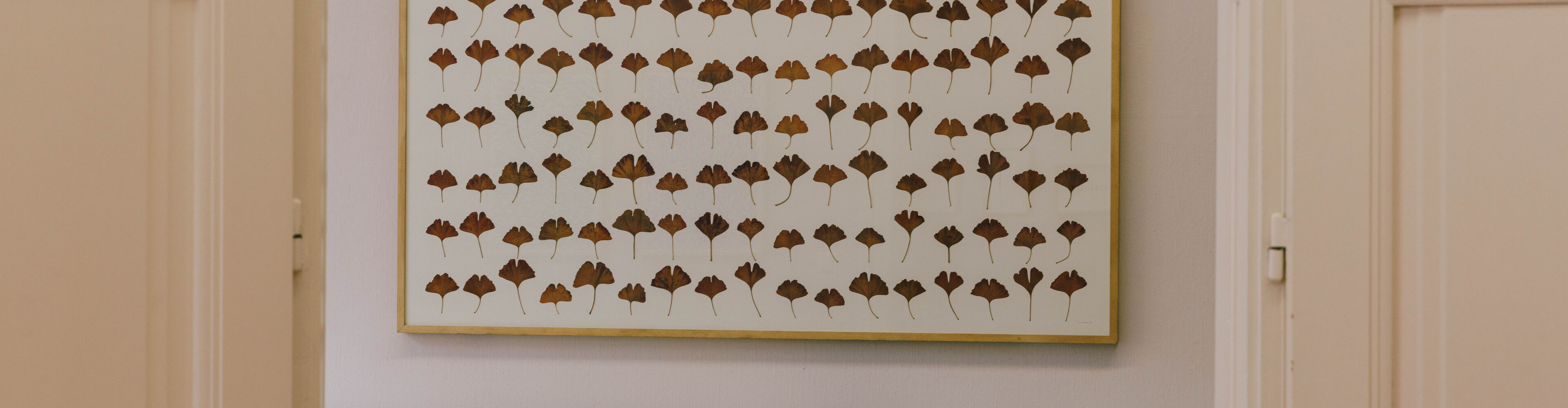 herman_de-vries- Photo by Helmut Spudich