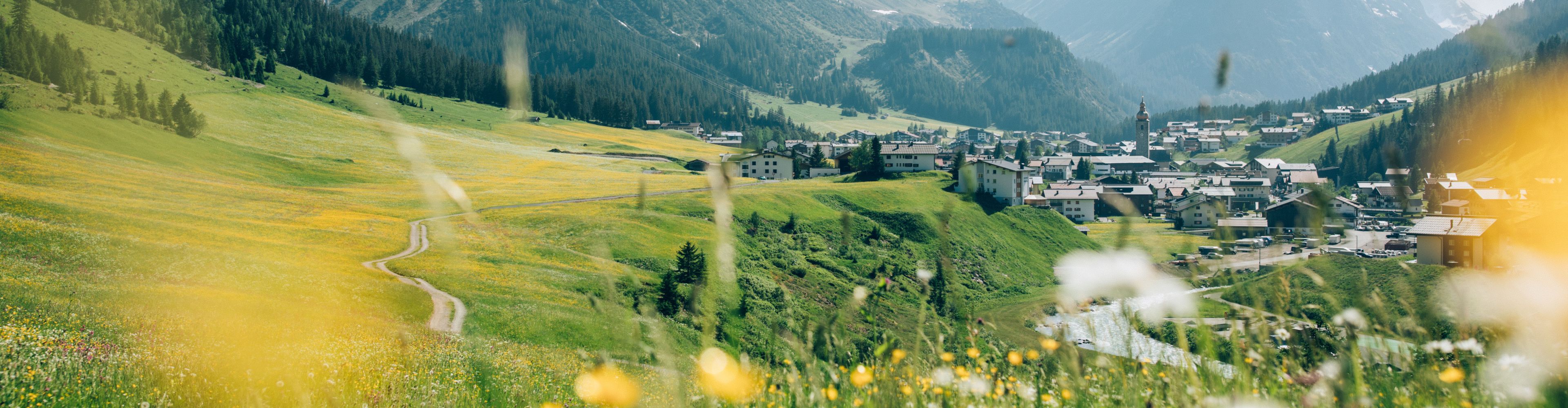 Blumenwiese im Frühling mit dem Dorf Lech und dem Omeshorn im Hintergrund