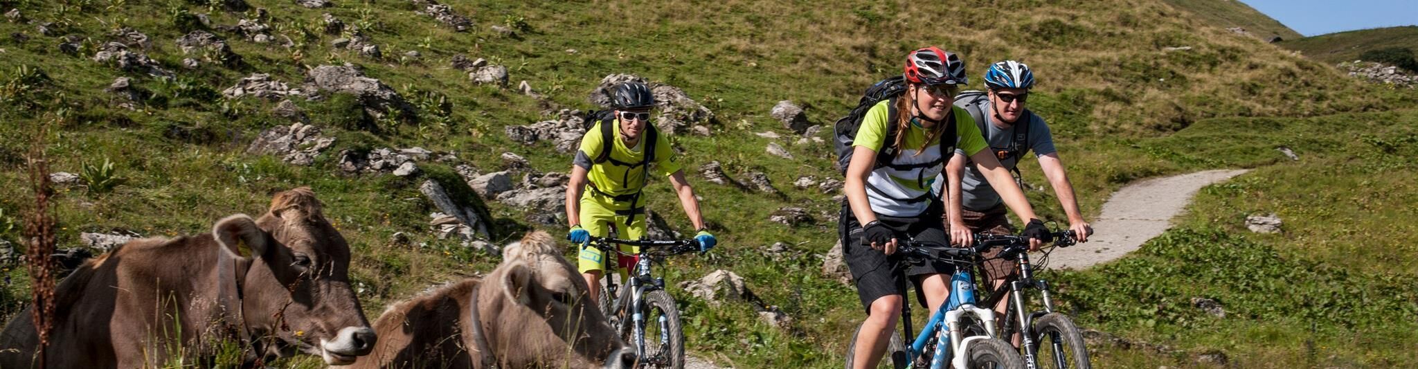 E-Bike Tour