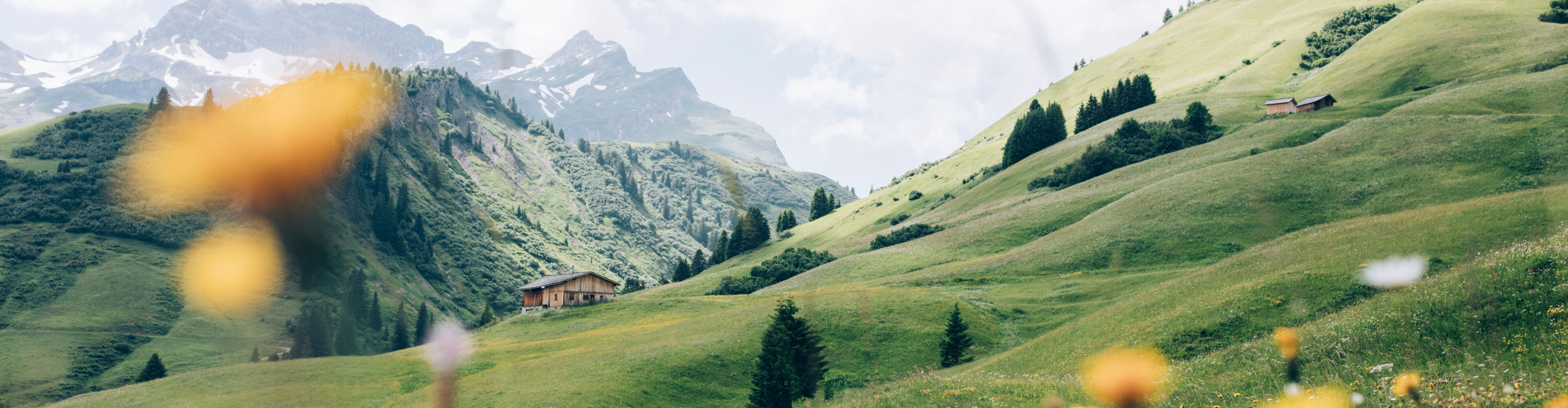 Bergsommer 2026 in Lech 